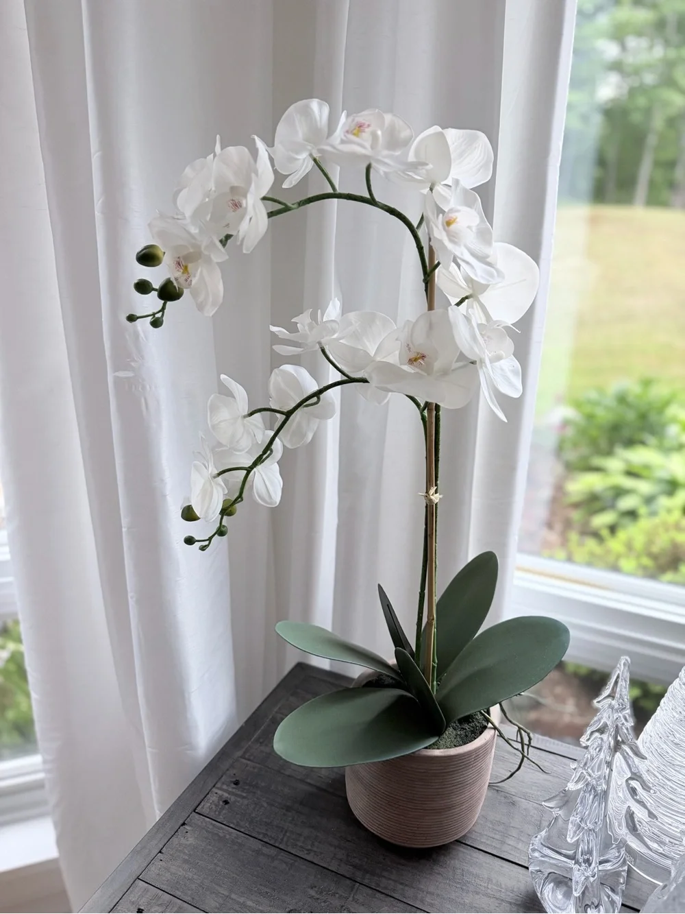 Pair of White Orchid Real Touch 29” in cement pots